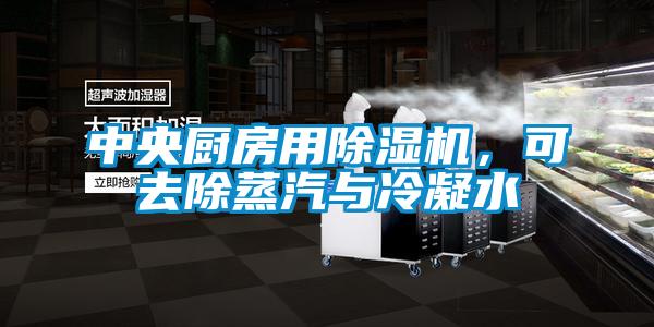 中央廚房用除濕機，可去除蒸汽與冷凝水