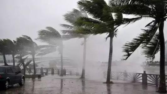 8月臺(tái)風(fēng)雨即將來(lái)，除濕機(jī)還得用起來(lái)