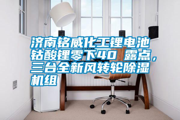 濟(jì)南銘威化工鋰電池鈷酸鋰零下40℃露點，三臺全新風(fēng)轉(zhuǎn)輪除濕機組