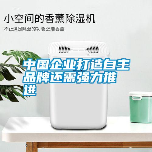 中國企業(yè)打造自主品牌還需強(qiáng)力推進(jìn)