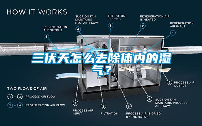 三伏天怎么去除體內(nèi)的濕氣？