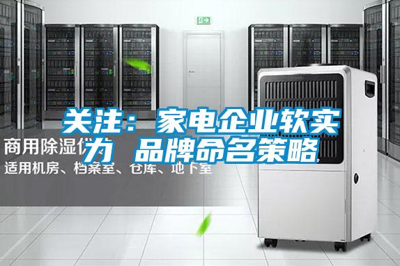 關注：家電企業(yè)軟實力 品牌命名策略