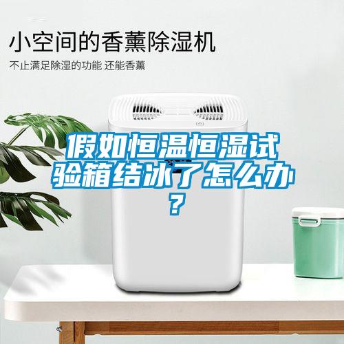 假如恒溫恒濕試驗(yàn)箱結(jié)冰了怎么辦？