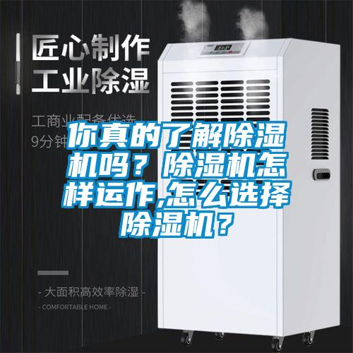 你真的了解除濕機(jī)嗎？除濕機(jī)怎樣運(yùn)作,怎么選擇除濕機(jī)？