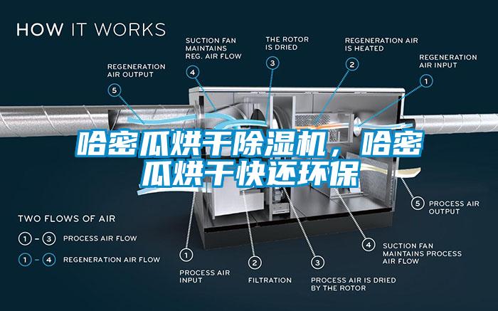 哈密瓜烘干除濕機(jī)，哈密瓜烘干快還環(huán)保