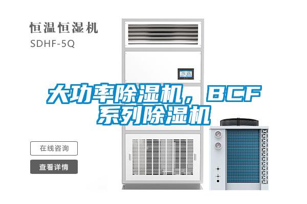 大功率除濕機，BCF系列除濕機