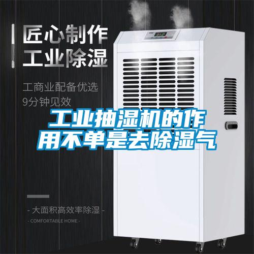 工業(yè)抽濕機(jī)的作用不單是去除濕氣