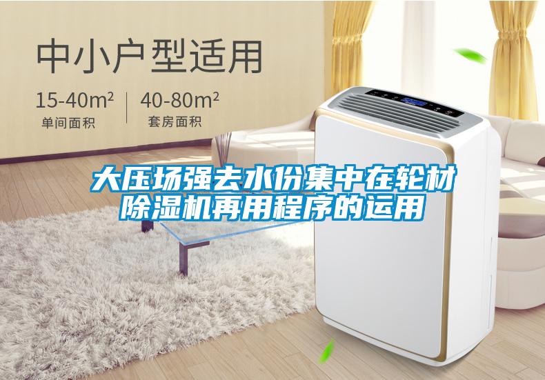 大壓場強(qiáng)去水份集中在輪材除濕機(jī)再用程序的運(yùn)用