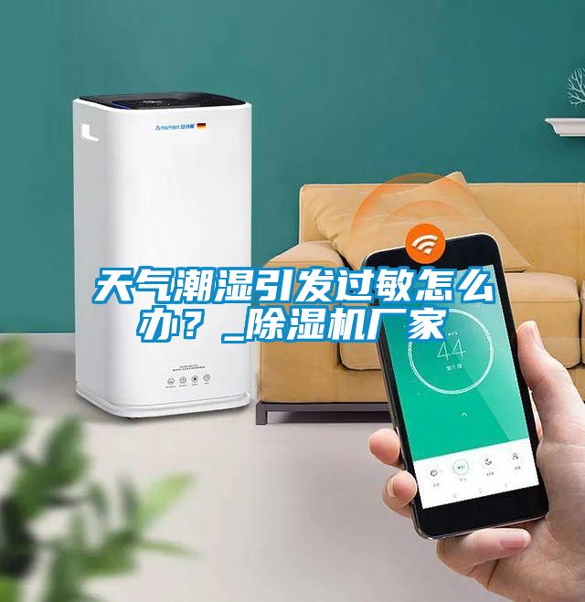 天氣潮濕引發(fā)過敏怎么辦？_除濕機廠家