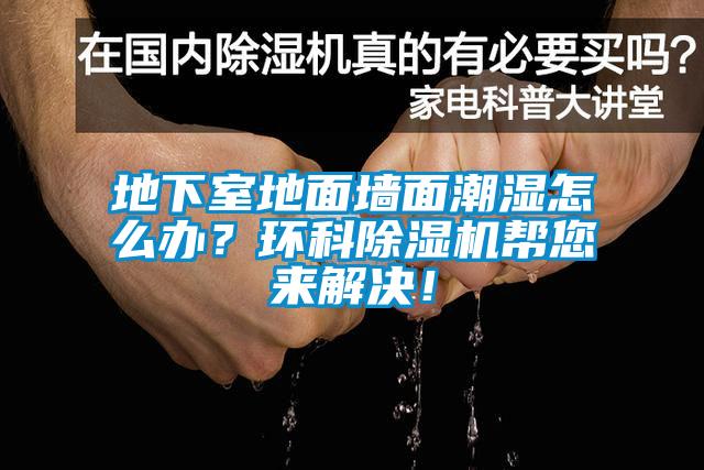 地下室地面墻面潮濕怎么辦？環(huán)科除濕機幫您來解決！