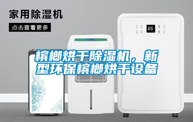 檳榔烘干除濕機，新型環(huán)保檳榔烘干設(shè)備