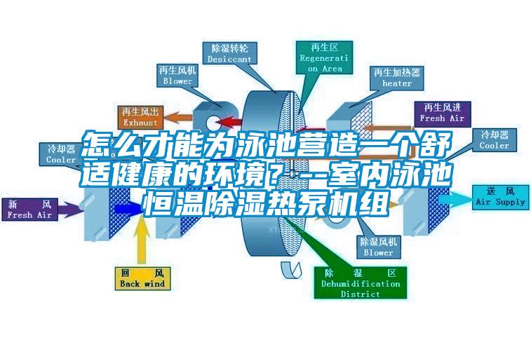 怎么才能為泳池營造一個(gè)舒適健康的環(huán)境？--室內(nèi)泳池恒溫除濕熱泵機(jī)組