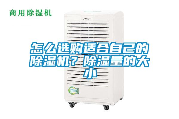 怎么選購(gòu)適合自己的除濕機(jī)？除濕量的大小