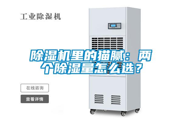 除濕機(jī)里的貓膩：兩個(gè)除濕量怎么選？