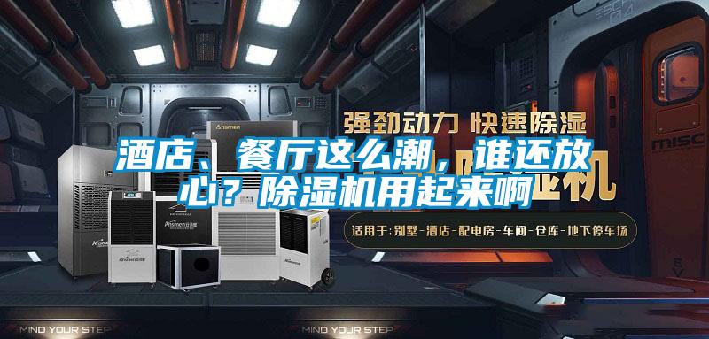 酒店、餐廳這么潮，誰還放心？除濕機用起來啊