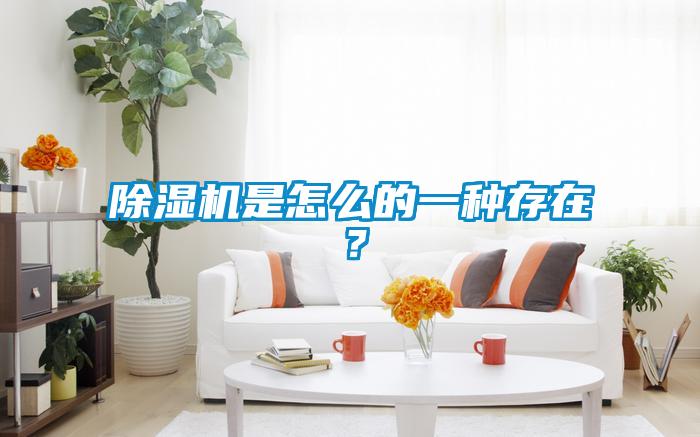 除濕機是怎么的一種存在？