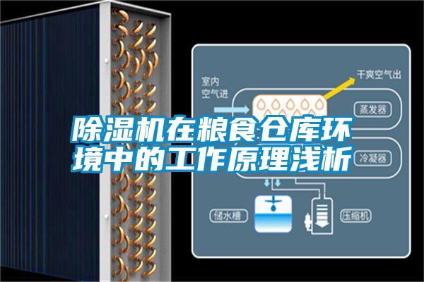 除濕機(jī)在糧食倉庫環(huán)境中的工作原理淺析