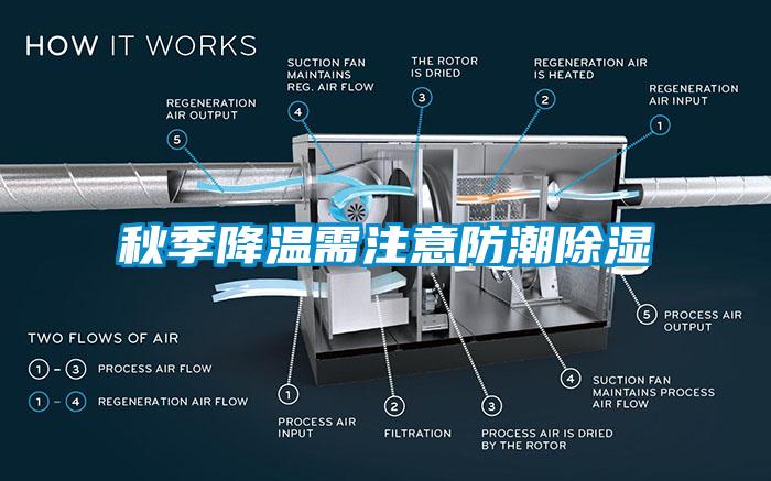 秋季降溫需注意防潮除濕