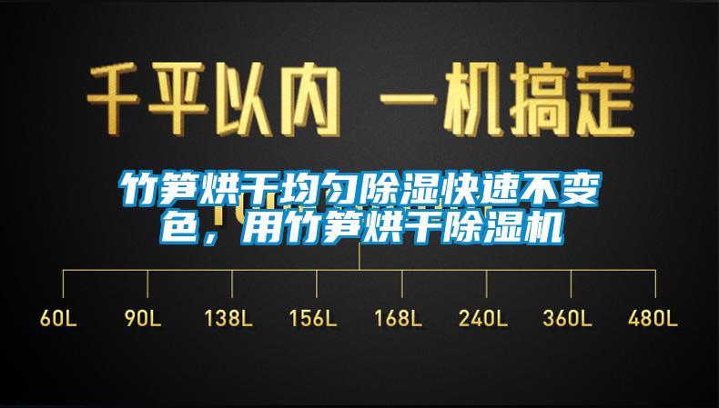 竹筍烘干均勻除濕快速不變色，用竹筍烘干除濕機