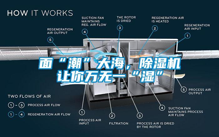 面“潮”大海，除濕機(jī)讓你萬(wàn)無(wú)一“濕”