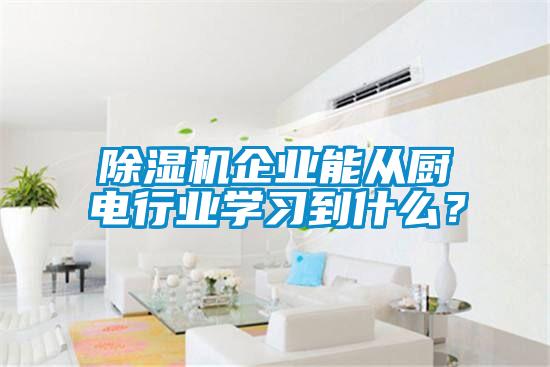 除濕機企業(yè)能從廚電行業(yè)學習到什么？