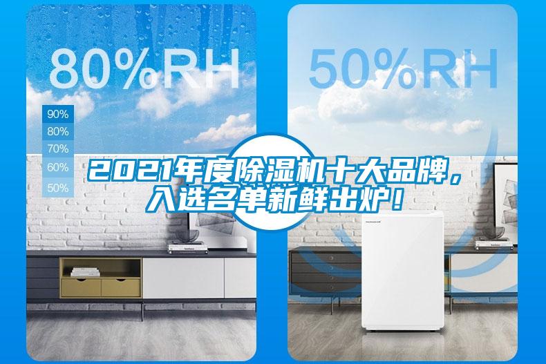 2021年度除濕機(jī)十大品牌，入選名單新鮮出爐！