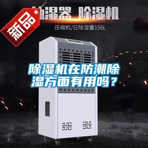 除濕機在防潮除濕方面有用嗎？