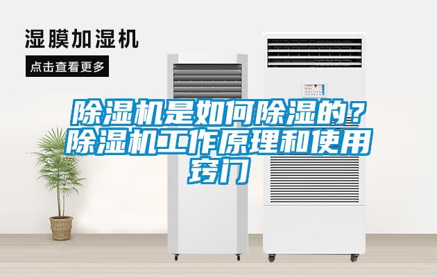 除濕機是如何除濕的？除濕機工作原理和使用竅門