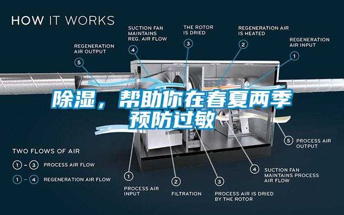 除濕，幫助你在春夏兩季預(yù)防過敏