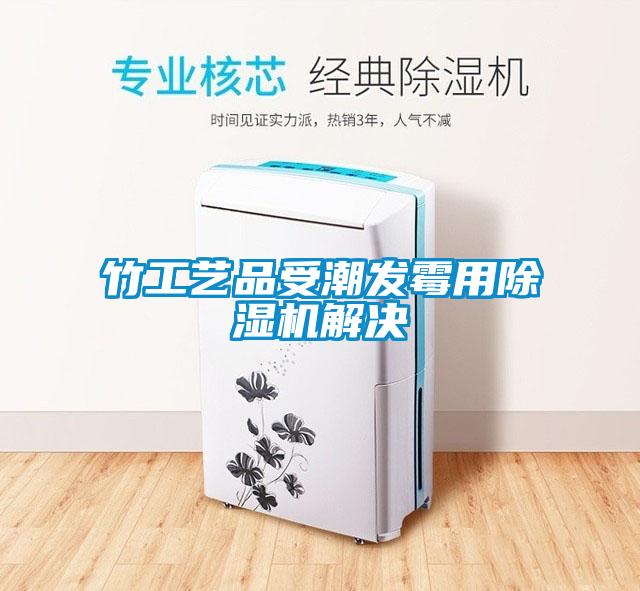 竹工藝品受潮發(fā)霉用除濕機解決