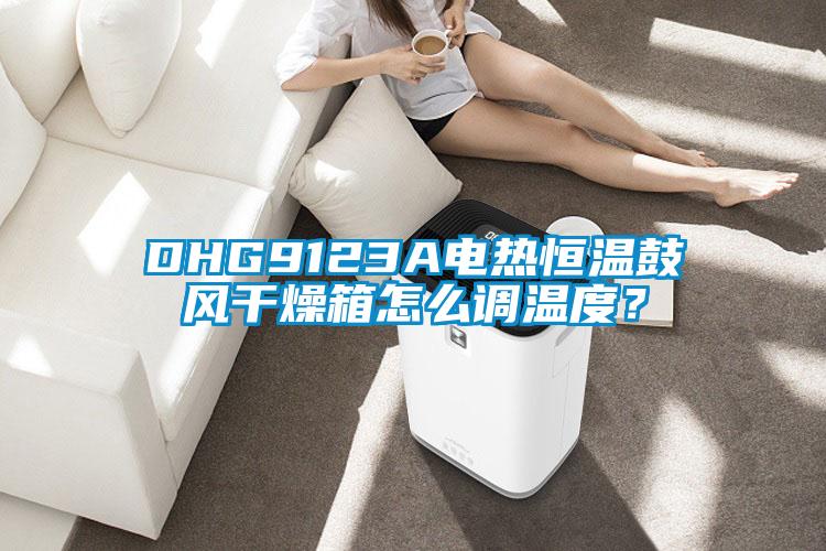 DHG9123A電熱恒溫鼓風(fēng)干燥箱怎么調(diào)溫度？