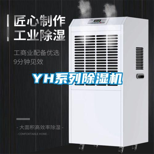 YH系列除濕機(jī)