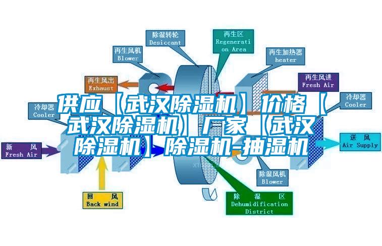 供應(yīng)【武漢除濕機(jī)】價(jià)格【武漢除濕機(jī)】廠家【武漢除濕機(jī)】除濕機(jī)-抽濕機(jī)