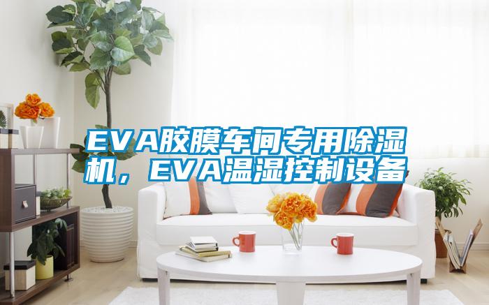 EVA膠膜車(chē)間專(zhuān)用除濕機(jī)，EVA溫濕控制設(shè)備