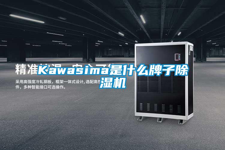 Kawasima是什么牌子除濕機