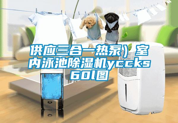 供應(yīng)三合一熱泵）室內(nèi)泳池除濕機(jī)yccks60l圖