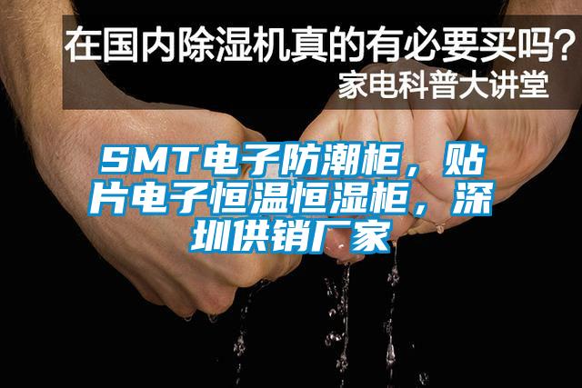 SMT電子防潮柜，貼片電子恒溫恒濕柜，深圳供銷廠家