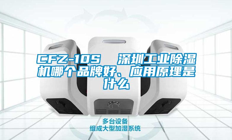 CFZ-10S  深圳工業(yè)除濕機(jī)哪個(gè)品牌好、應(yīng)用原理是什么