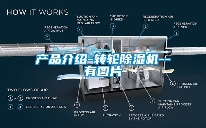 產(chǎn)品介紹-轉(zhuǎn)輪除濕機(jī)--有圖片