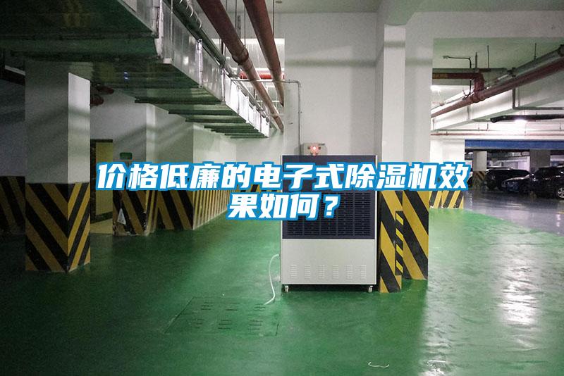 價格低廉的電子式除濕機效果如何？