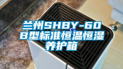 蘭州SHBY-60B型標準恒溫恒濕養(yǎng)護箱