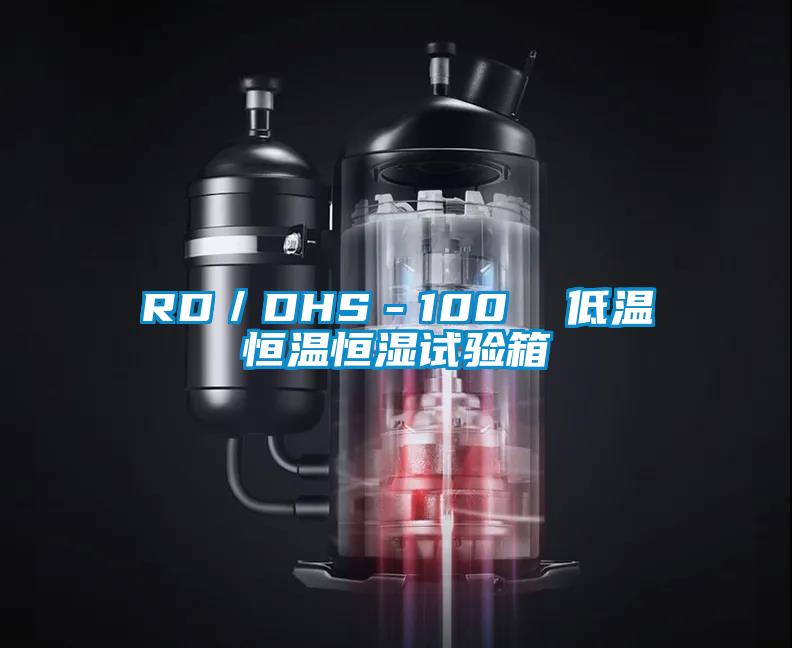 RD／DHS－100  低溫恒溫恒濕試驗(yàn)箱