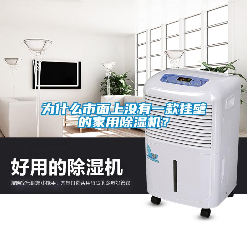 為什么市面上沒有一款掛壁的家用除濕機？