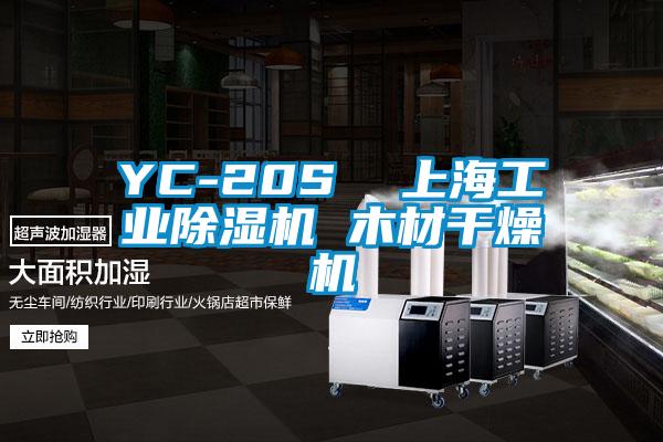 YC-20S  上海工業(yè)除濕機(jī) 木材干燥機(jī)