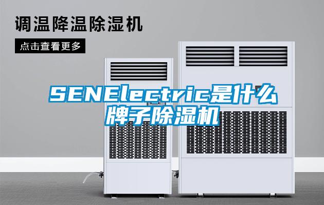 SENElectric是什么牌子除濕機(jī)