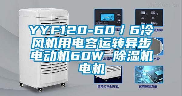 YYF120-60／6冷風(fēng)機(jī)用電容運轉(zhuǎn)異步電動機(jī)60W 除濕機(jī)電機(jī)