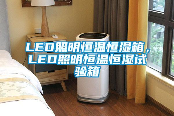 LED照明恒溫恒濕箱，LED照明恒溫恒濕試驗(yàn)箱