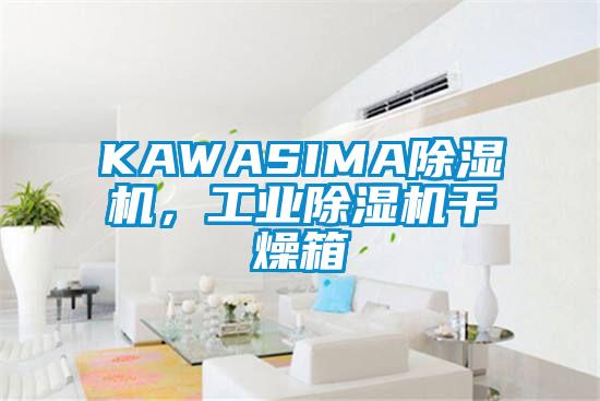 KAWASIMA除濕機，工業(yè)除濕機干燥箱