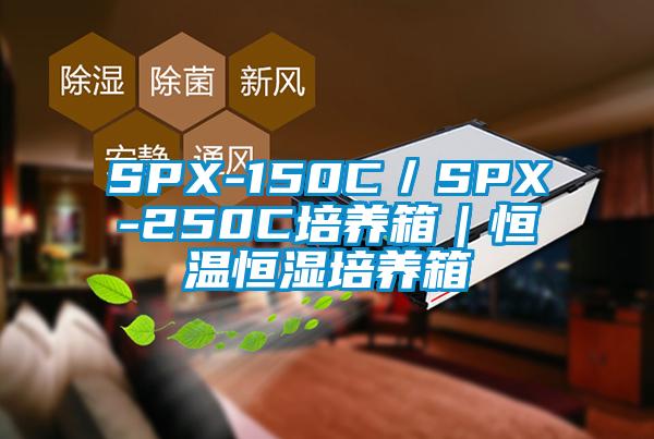 SPX-150C／SPX-250C培養(yǎng)箱｜恒溫恒濕培養(yǎng)箱