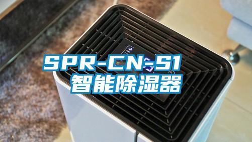 SPR-CN-S1  智能除濕器